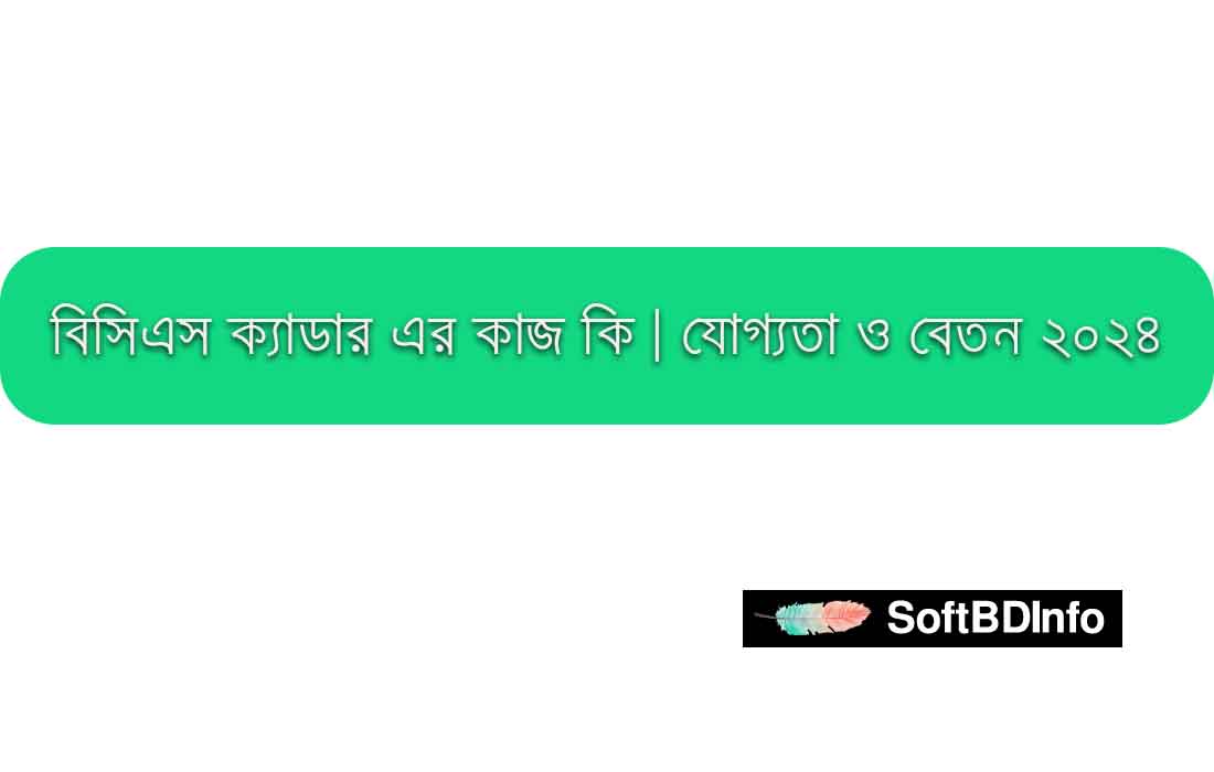 বিসিএস ক্যাডার এর কাজ 