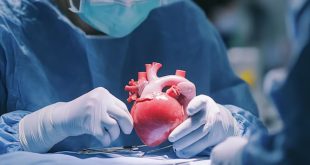 Heart Surgery in Singapore